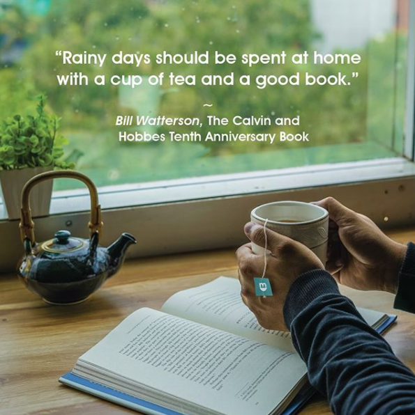 The Best Teas for Monsoons