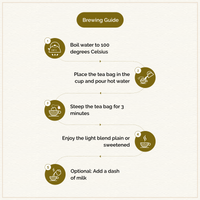 Chymey Organic Garcinia Gooseberry Green Tea Bags: 15 Pyramid Tea Bags