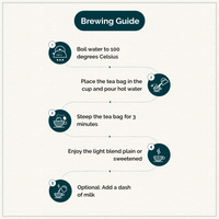 Chymey Moroccan Mint Green Tea Bags:  15 Pyramid Tea Bags