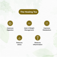 Chymey Organic Garcinia Gooseberry Green Tea Bags: 15 Pyramid Tea Bags