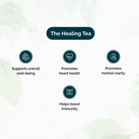 Chymey Moroccan Mint Green Tea Bags:  15 Pyramid Tea Bags