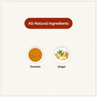 Chymey Organic Turmeric Ginger Herbal Tea Bags: 15 Pyramid Tea Bags