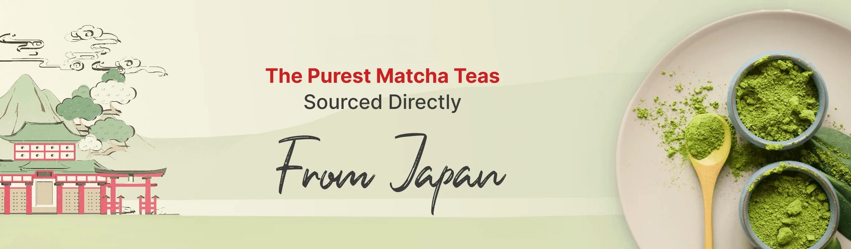 Indulge In The Purest Matcha Teas Sourced Directly From Japan