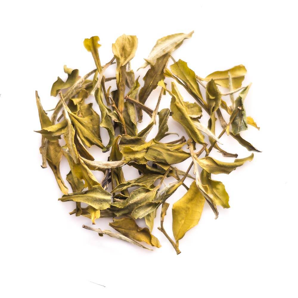 White tea leaves benefits uses recipe ingredients calorie caffein price buy online