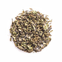 Tulsi Green Tea